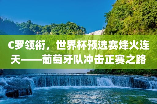 C罗领衔，世界杯预选赛烽火连天——葡萄牙队冲击正赛之路吉安市靖泰电力工程有限公司