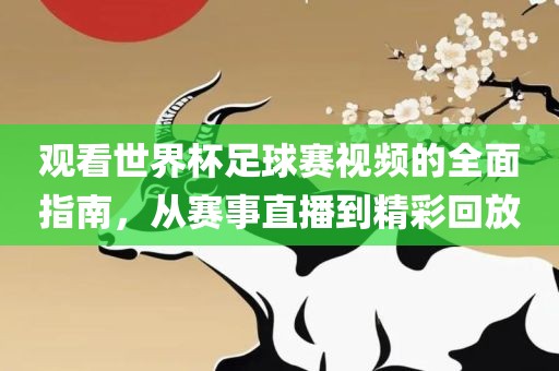 观看世界杯足球赛视频的全面指南，从赛事直播到精彩回放
