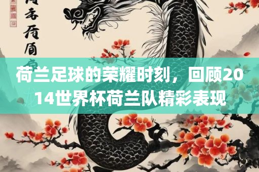 荷兰足球的荣耀时刻，回顾2014世界杯荷兰队精彩表现吉安市靖泰电力工程有限公司