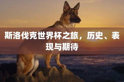 斯洛伐克世界杯之旅，历史、表现与期待
