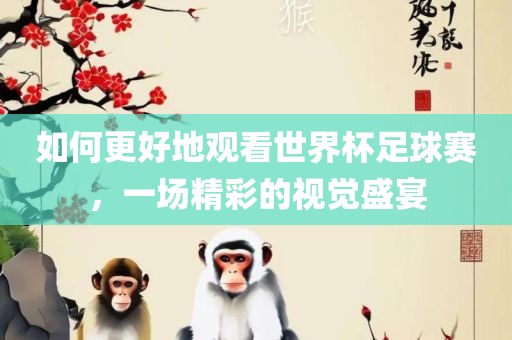 如何更好地观看世界杯足球吉安市靖泰电力工程有限公司赛，一场精彩的视觉盛宴