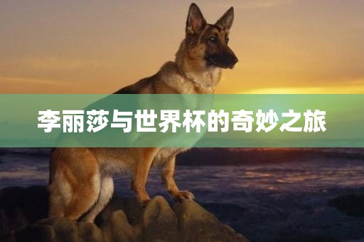 李丽莎与世界杯的奇妙之旅