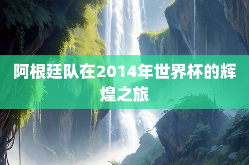 阿根廷队在2014年世界杯的辉煌之旅
