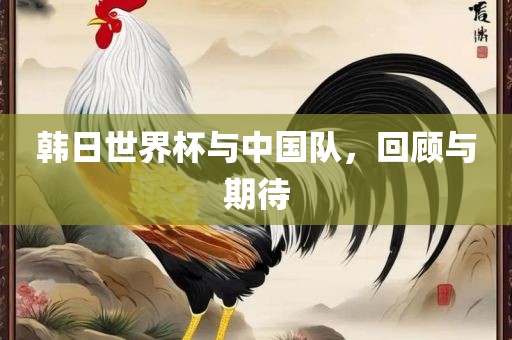 韩日世界杯与中国队，回顾与期待