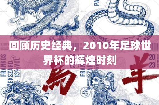 回顾历史经典，2010年足球世界杯的辉煌时刻吉安市靖泰电力工程有限公司