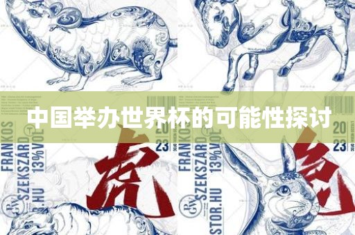 中国举办世界杯的可能性探讨
