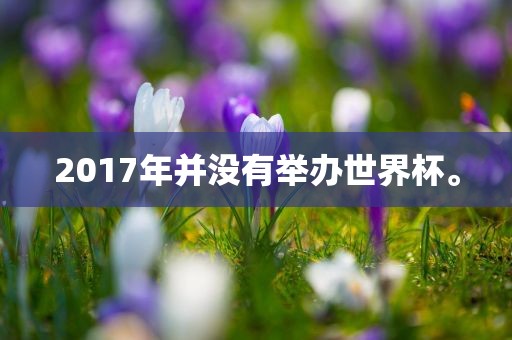 2017年并没有举办世界杯。吉安市靖泰电力工程有限公司