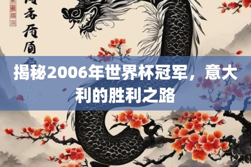 揭秘2006年世界杯冠军，意大利的胜利之路