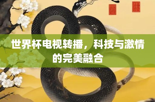 世界杯电视转播，科技与激情的完美融合