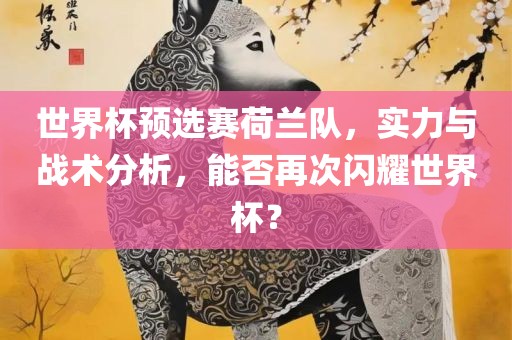 世界杯预选赛荷兰队，实力与战术分析，能否再次闪耀世界杯？