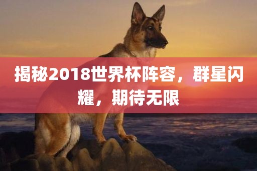 揭秘2018世界杯阵容，群星闪耀，期待无限