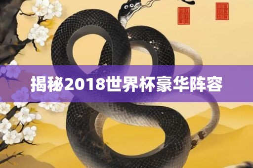 揭秘2018世界杯豪华阵容