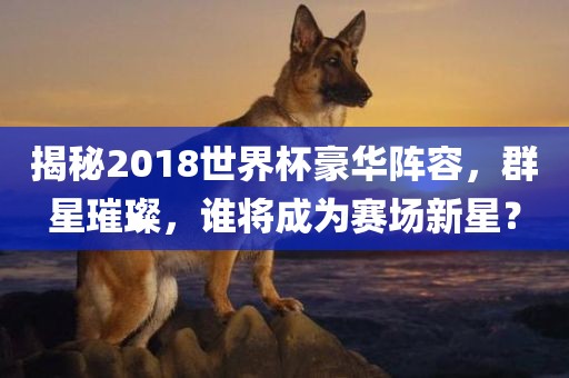 揭秘2018世界杯豪华阵容，群星璀璨，谁将成为赛场新星？