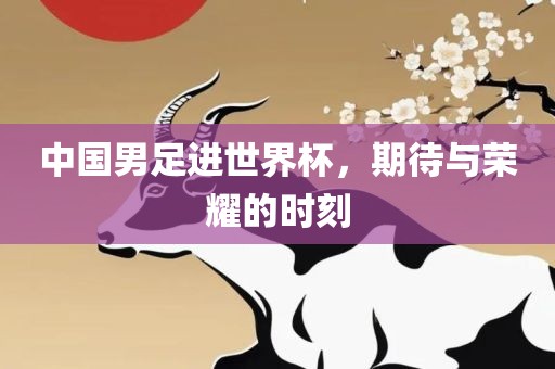 中国男足进世界杯，期待与荣耀的时刻吉安市靖泰电力工程有限公司