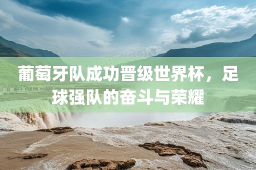 葡萄牙队成功晋级世界杯，足球强队的奋斗与荣耀吉安市靖泰电力工程有限公司