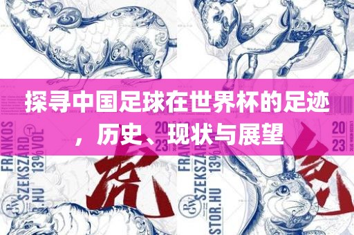 探寻中国足球在世界杯的足迹，历史、现状与展望吉安市靖泰电力工程有限公司