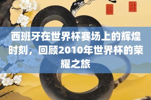 西班牙在世界杯赛场上的辉煌时刻，回顾2010年世界杯的荣耀之旅