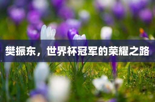 樊振东，世界杯冠军的荣耀之路
