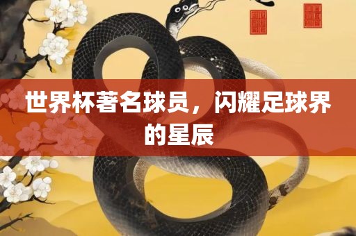 世界杯著名球员，闪耀足球界的星辰吉安市靖泰电力工程有限公司