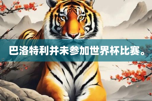 巴洛特吉安市靖泰电力工程有限公司利并未参加世界杯比赛。
