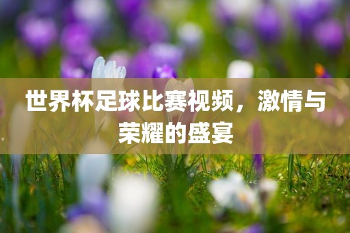 世界杯足球比赛视频，激情与荣耀的盛宴