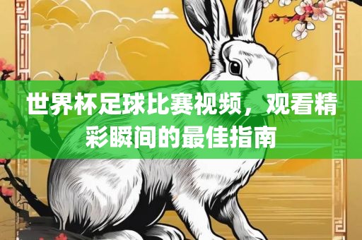 世界杯足球比赛视频，观看精彩瞬间的最佳指南