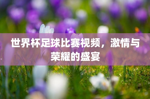 世界杯足球比赛视频，激情与荣耀的盛宴