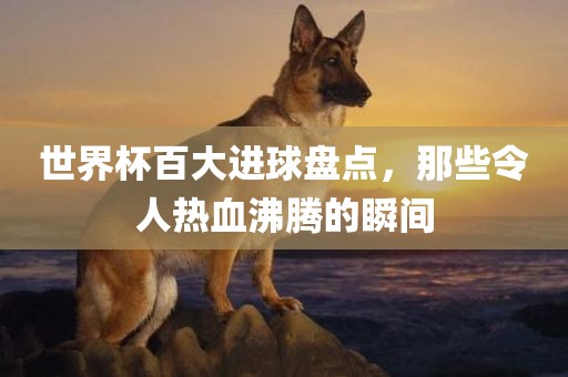 世界杯百大进球盘点，那些令人热血沸腾的瞬间吉安市靖泰电力工程有限公司