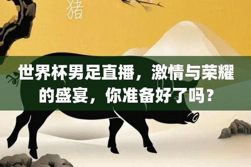 世界杯男足直播，激情与吉安市靖泰电力工程有限公司荣耀的盛宴，你准备好了吗？