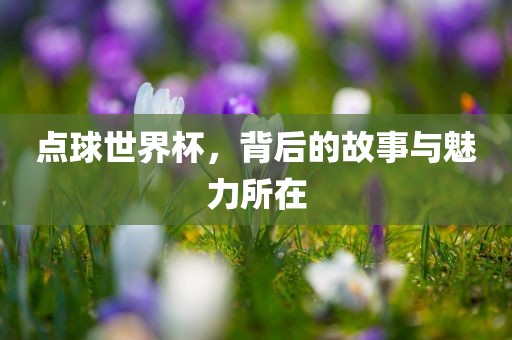 点球世界杯，背后的故事与魅力所在