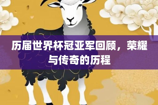 历届世界杯冠亚军回顾，吉安市靖泰电力工程有限公司荣耀与传奇的历程