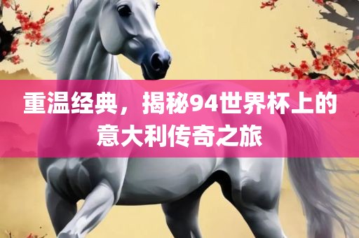 重温经典，揭秘94世界杯上的意大利传奇之旅吉安市靖泰电力工程有限公司