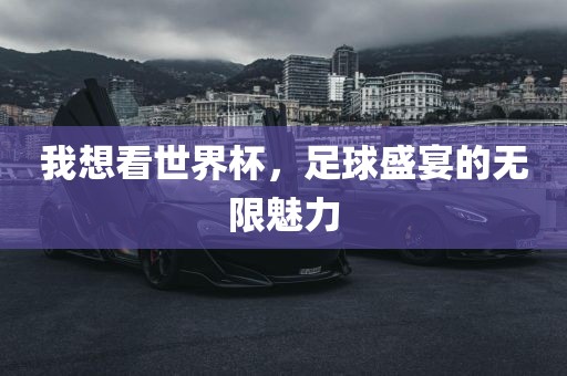 我想看世界杯，足球盛宴的无限魅力吉安市靖泰电力工程有限公司