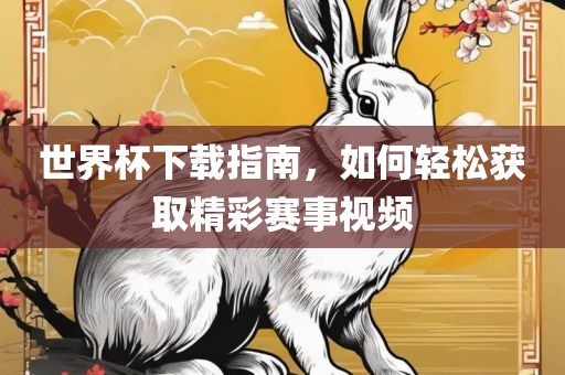 世界杯下载指南，如何轻松获取精彩赛事视频