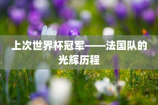 上次世界杯冠军——法国队的光辉历程