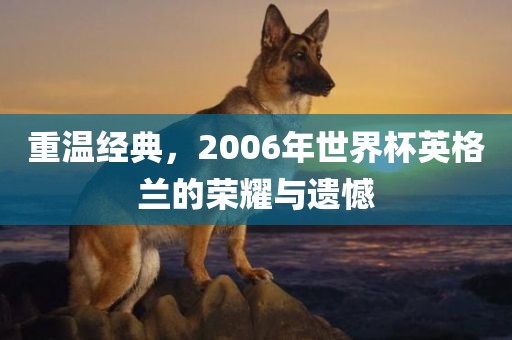 重温经典，2006年世界杯英格兰的荣耀与遗憾