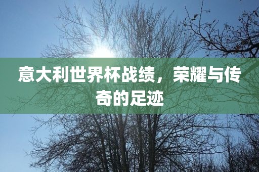 意大利世界杯战绩，荣耀与传奇的足迹吉安市靖泰电力工程有限公司