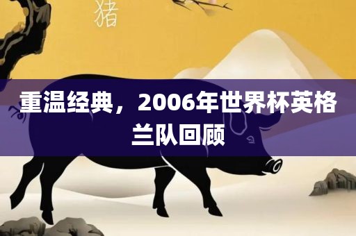 重温经典，2006年世界杯英格兰队回顾