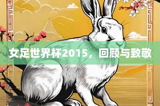女足世界杯2015吉安市靖泰电力工程有限公司，回顾与致敬