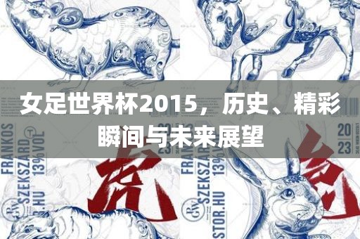 女足世界杯2015，历史、精彩瞬间与未来展望