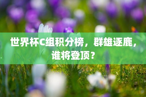 世界杯C组积分榜，群雄逐鹿，谁将登顶？吉安市靖泰电力工程有限公司