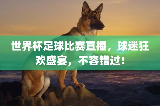 世界杯足球比赛直播，球迷狂欢盛宴，不容错过！吉安市靖泰电力工程有限公司