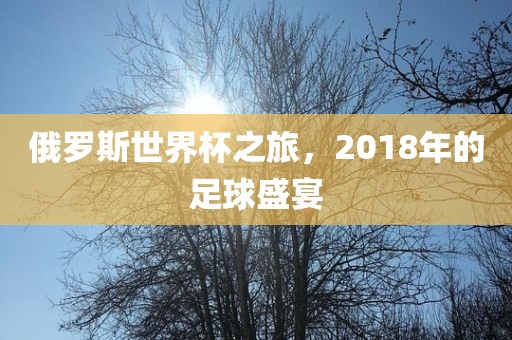 足球盛宴 第8页