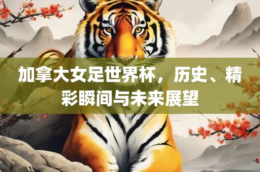 加拿大女足世界杯，历史、精彩瞬间与未来展望
