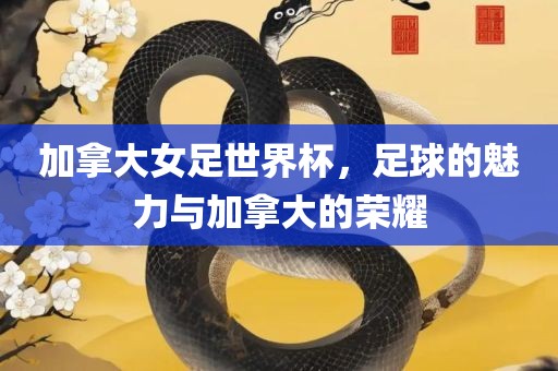 加拿大女足世界杯，足球的魅力与加拿大的荣耀