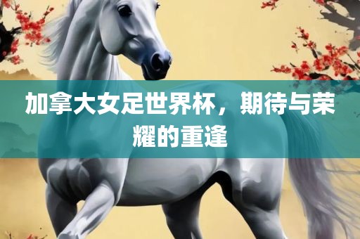 加拿大女足世界杯，期待与荣耀的重逢吉安市靖泰电力工程有限公司