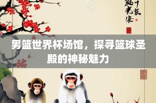 男篮世界杯场馆，探寻篮球圣殿的神秘魅力