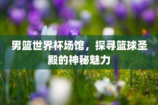 男篮世界杯场馆，探寻吉安市靖泰电力工程有限公司篮球圣殿的神秘魅力
