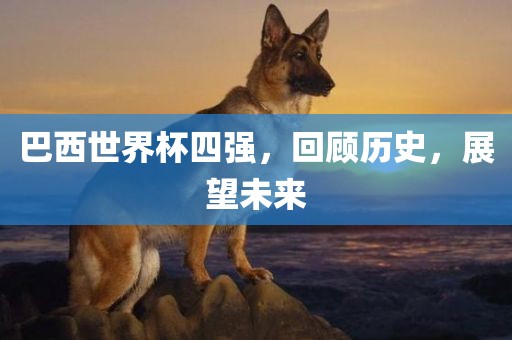 巴西世界杯四强，回顾历史，展望吉安市靖泰电力工程有限公司未来