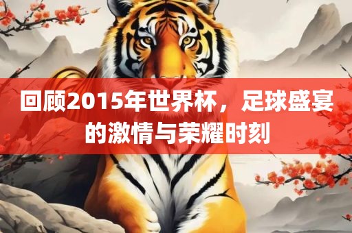 回顾2015年世界杯，足球盛宴的激情与吉安市靖泰电力工程有限公司荣耀时刻